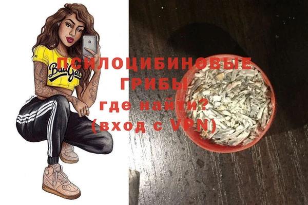 молекула духа Белокуриха