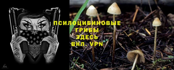 молекула духа Белокуриха