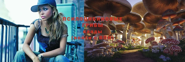 ALPHA PVP Беломорск