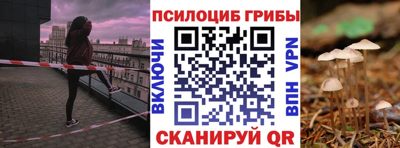 Галлюциногенные грибы ЛСД Онега